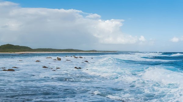 Quels sont les secrets d'une visite réussie des châteaux de la Loire, France : itinéraires et périodes idéales ?